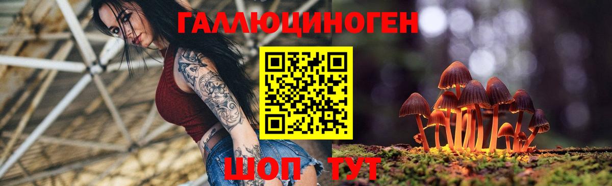 Донской  Псилоцибиновые грибы Psilocybine cubensis  Вход с VPN 