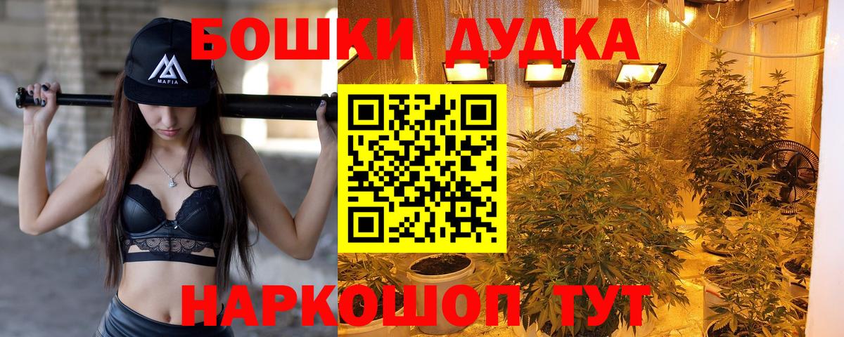 Конопля Amnesia  Бошки Шишки семена  Шишки марихуана план  Вход с VPN  Бошки Шишки LSD WEED  Донской 